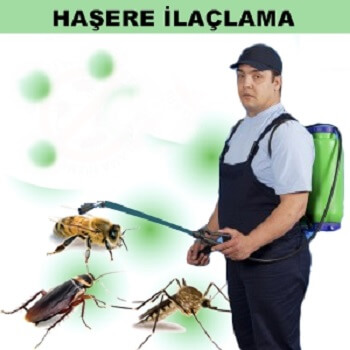 Korkut Böcek İlaçlama